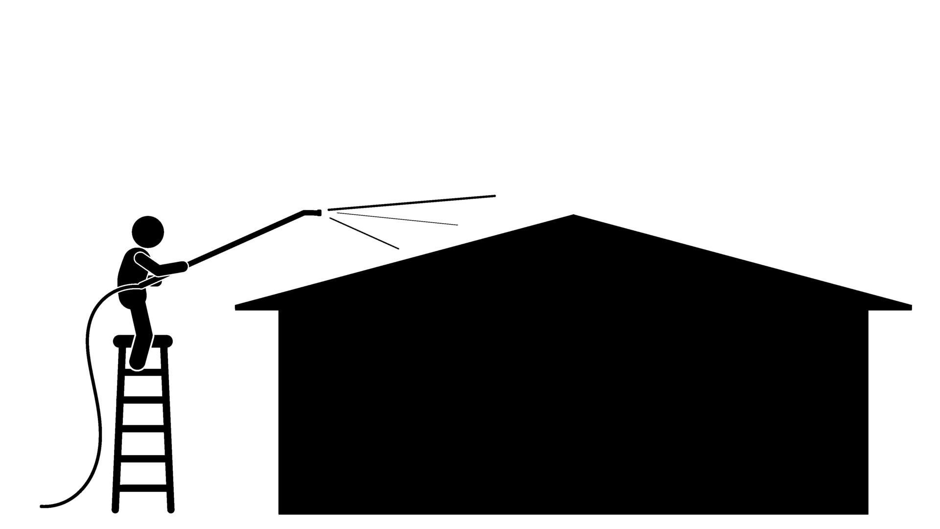 Roof Cleaning